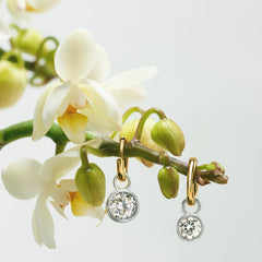 The Bezel Drop Earrings