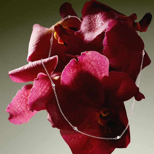 The Bezel Chain Necklace - 925 Sterling Silver